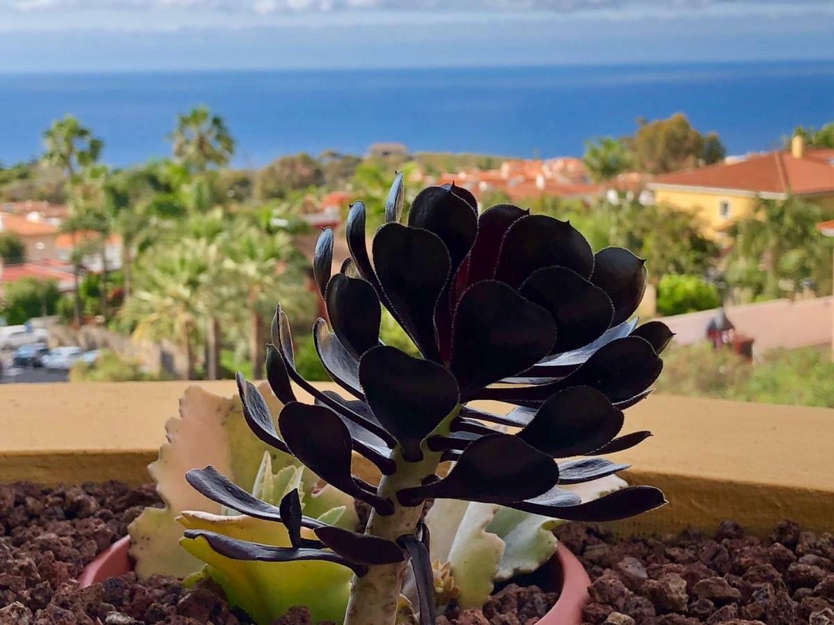 Apartamento Terraza vista océano La Quinta Santa Úrsula Exterior foto